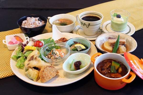 <三重>~2大バラ園競い咲き~Roses de la préfecture de Mie~【垂水・名谷出発】2